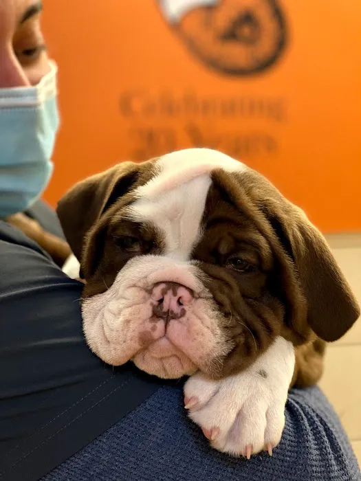 Back Bay Veterinary Clinic Picture 7