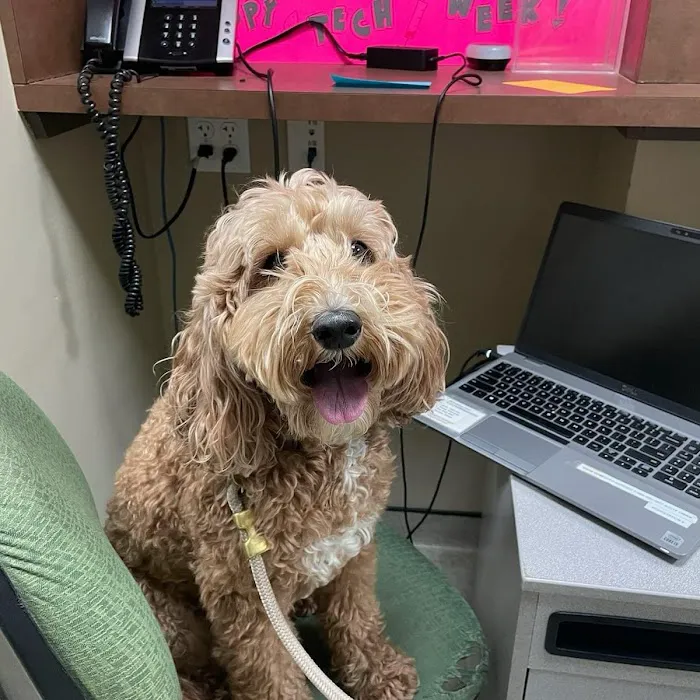 Back Bay Veterinary Clinic Picture 8