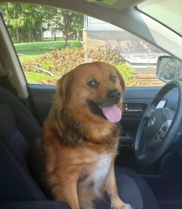 Hello Ralphie Online Veterinarian Picture 2