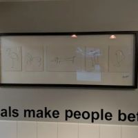 Boston Animal Hospital ico