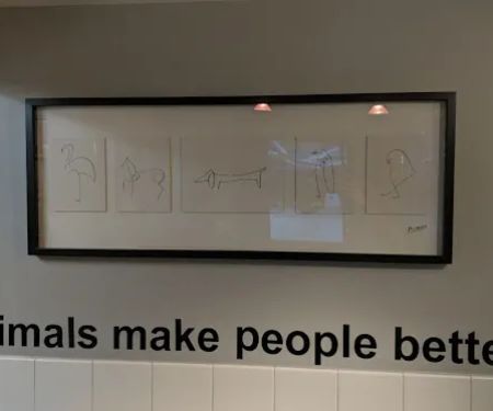Boston Animal Hospital