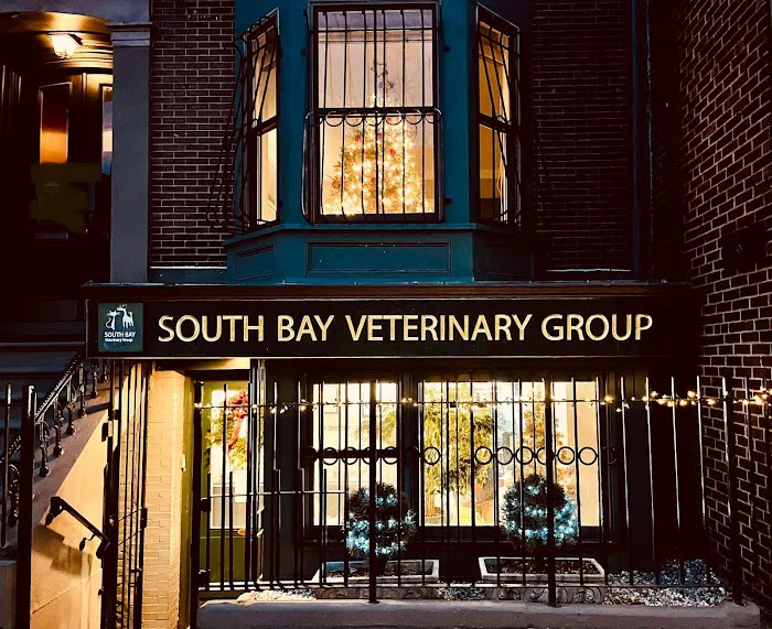 Boston Animal Hospital Picture 7