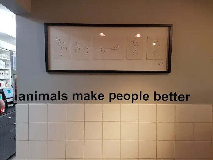 Boston Animal Hospital Picture 6