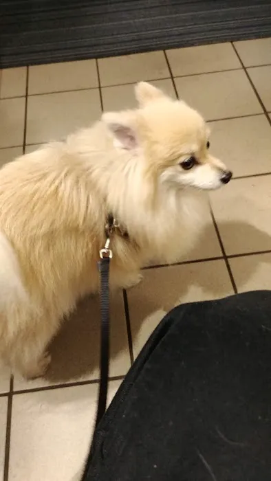 Boston Animal Hospital Picture 5