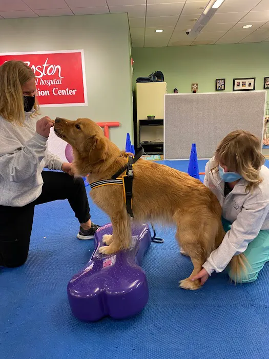 Boston Pet Rehabilitation Picture 10