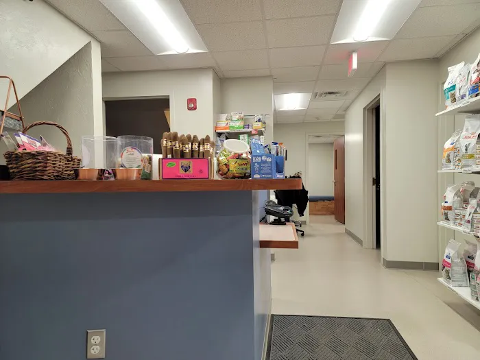 Cambridge Cat Clinic Picture 6