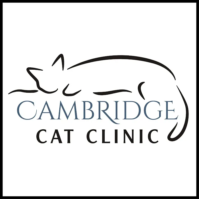 Cambridge Cat Clinic Picture 10
