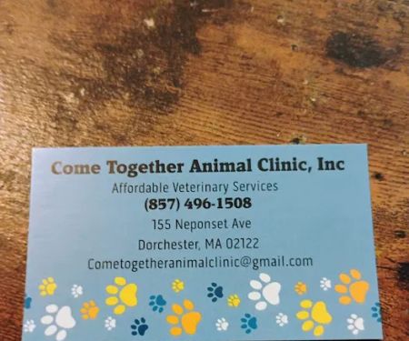 Come Together Animal Clinic
