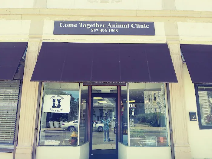 Come Together Animal Clinic Picture 3