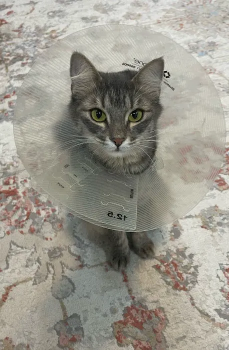 Come Together Animal Clinic Picture 2
