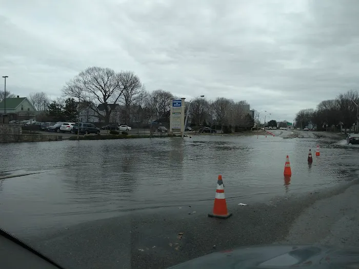 Neponset Pet Center & Animal Hospital Picture 6