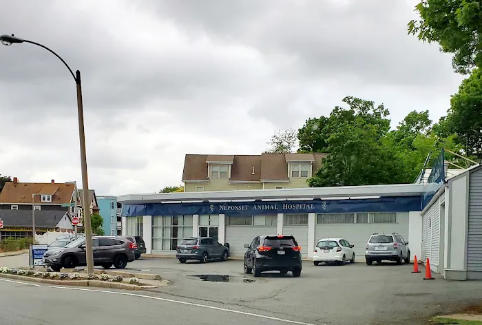 Neponset Pet Center & Animal Hospital Picture 1