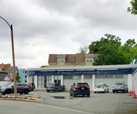 Neponset Pet Center & Animal Hospital