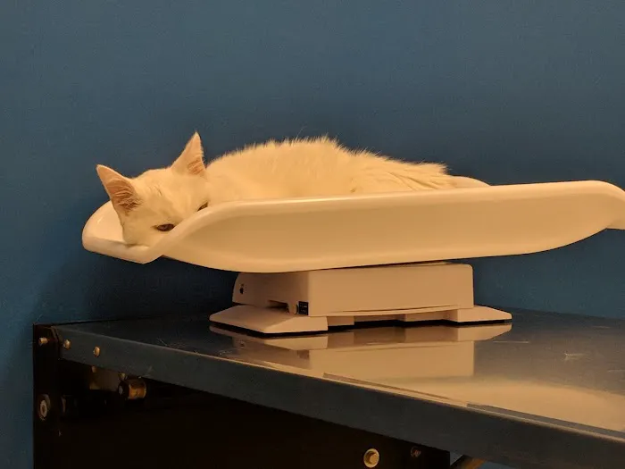 Banfield Pet Hospital Picture 1