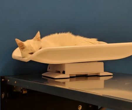 Banfield Pet Hospital