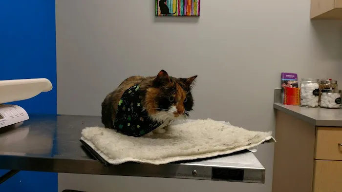 Banfield Pet Hospital Picture 7