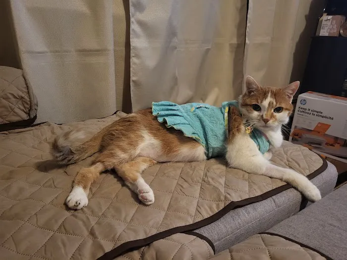 Banfield Pet Hospital Picture 8