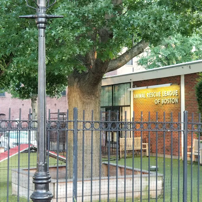 Boston Veterinary Care Picture 7