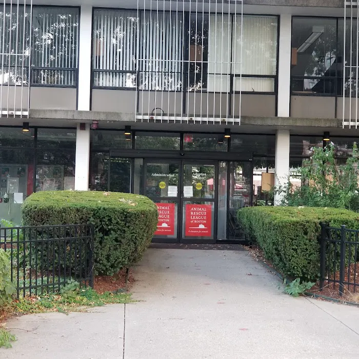Boston Veterinary Care Picture 1