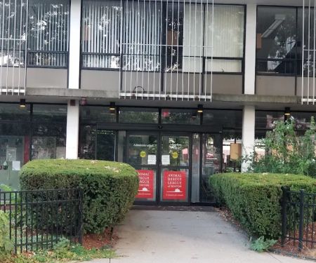 Boston Veterinary Care