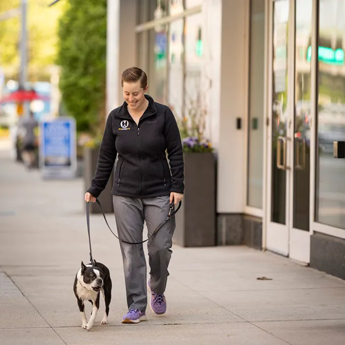 Boston Veterinary Clinic Picture 1