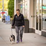 Boston Veterinary Clinic
