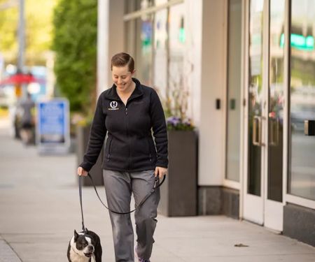 Boston Veterinary Clinic