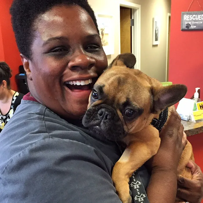 Boston Veterinary Clinic Picture 6