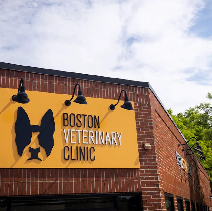 Boston Veterinary Clinic Picture 1