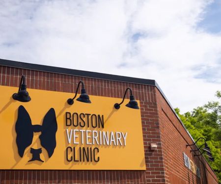 Boston Veterinary Clinic