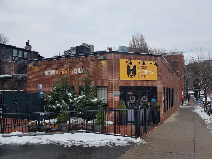 Boston Veterinary Clinic Picture 7