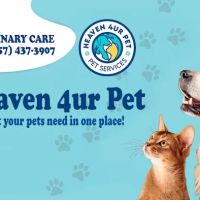 Heaven 4ur Pet Massachusetts ico