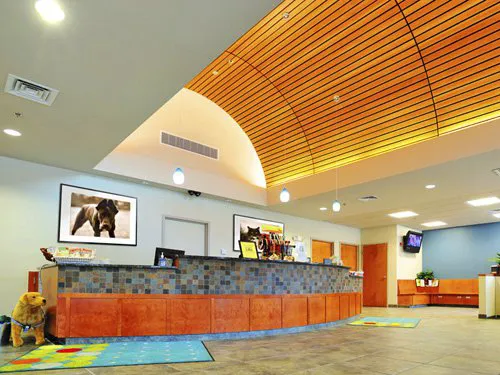 Old Derby Animal Hospital Picture 8