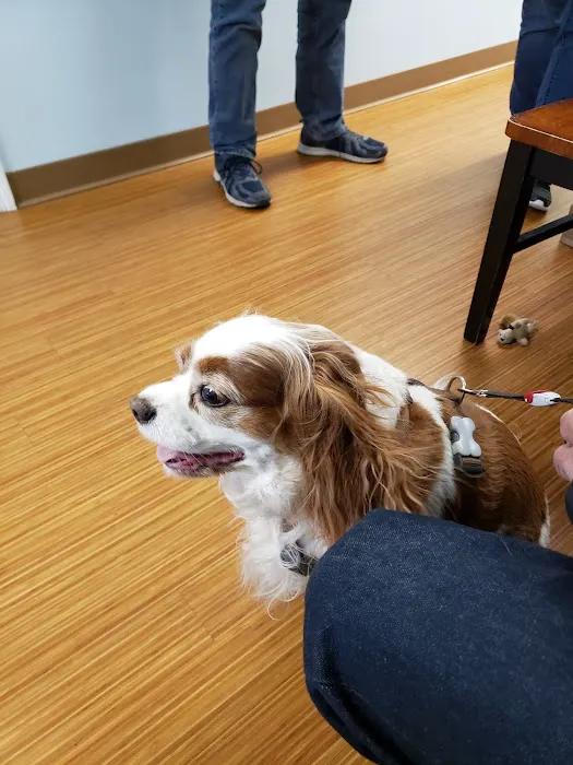Cushing Square Veterinary Clinic Picture 7