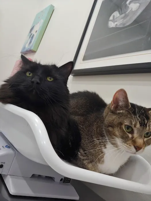 Pet Haven Animal Hospital Picture 1