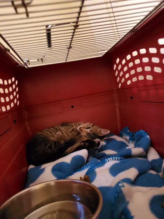 Pet Haven Animal Hospital Picture 4