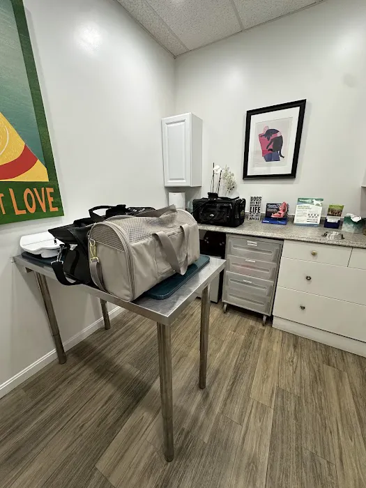 Pet Haven Animal Hospital Picture 8