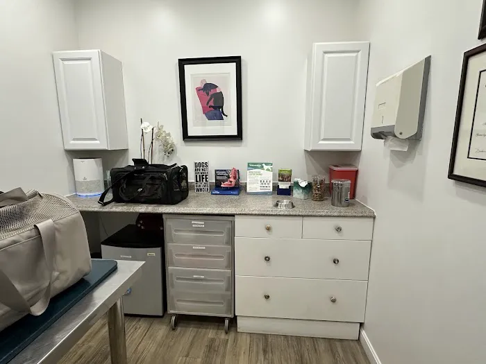 Pet Haven Animal Hospital Picture 5