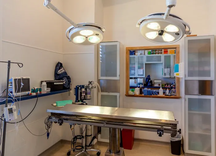 Heal Veterinary Clinic Picture 7