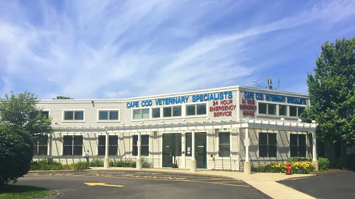 Cape Cod Veterinary Specialists Picture 1