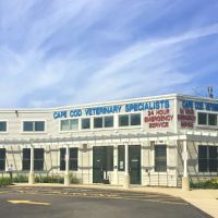 Cape Cod Veterinary Specialists ico
