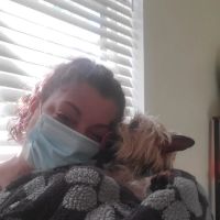 Cape Cod Veterinary Specialist: Schulze Heidi DVM ico