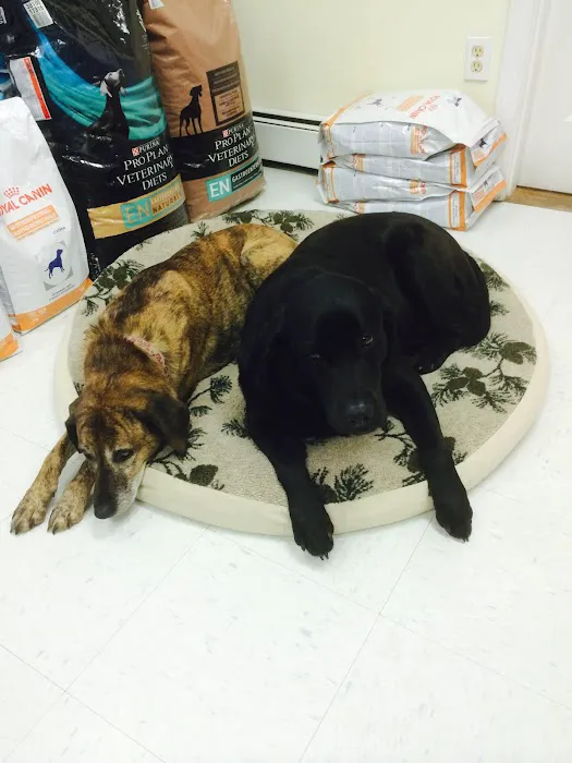 All Pets Medical Center, LLC Picture 9