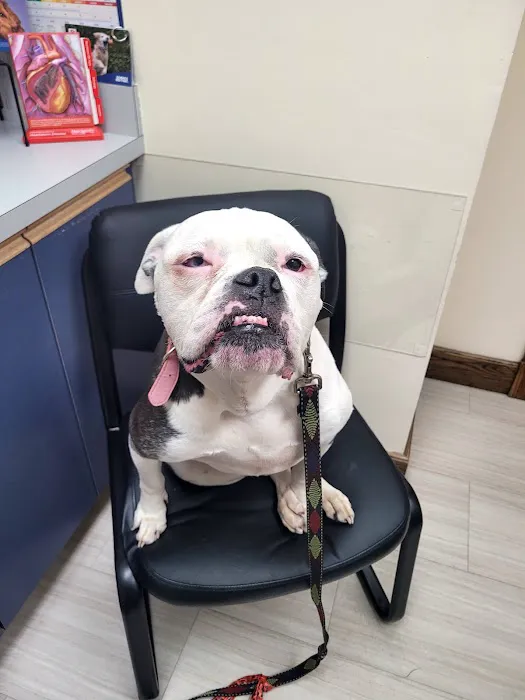 Pembroke Animal Hospital Picture 4