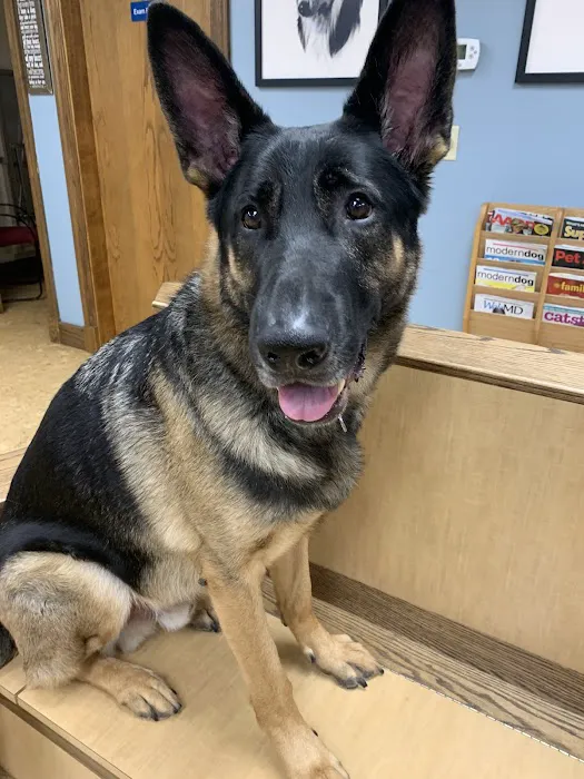 Pembroke Animal Hospital Picture 8