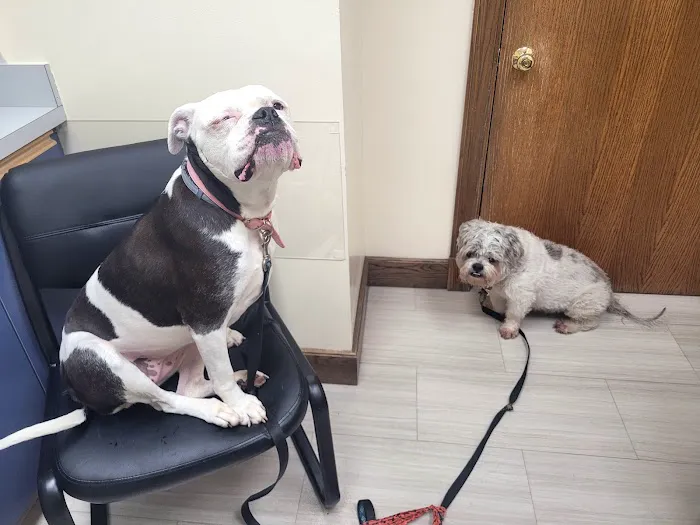 Pembroke Animal Hospital Picture 9