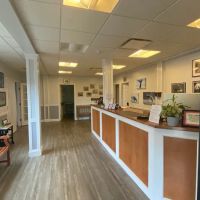South Shore Animal Services ico