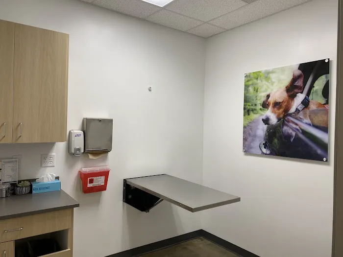 Vetco Total Care Animal Hospital Picture 6