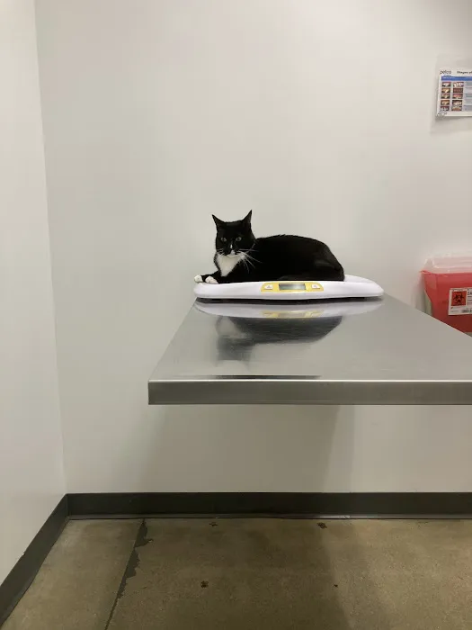 Vetco Total Care Animal Hospital Picture 5