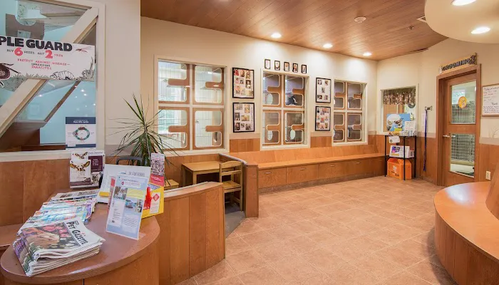 VCA Plymouth Animal Hospital and Pet Resort Picture 2